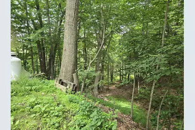 208 Nh Route 3A, Hill, NH 03243 - Photo 2