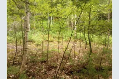 Swiftwater Circle #255, Haverhill, NH 03785 - Photo 2