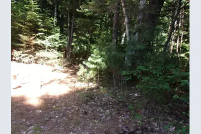 Swiftwater Circle #177, Haverhill, NH 03785 - Photo 4