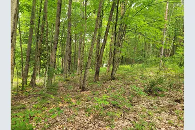 54 Fullam Pond Road, Winchester, NH 03470 - Photo 2