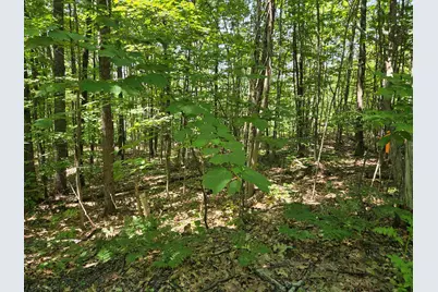 X Methodist Hill Road, Enfield, NH 03748 - Photo 1