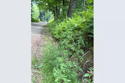 90 Stone Hill Road, Rumney, NH 03266 - Photo 6