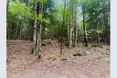 Lot 11 True Road #R23-Lot 11, Pittsfield, NH 03263 - Photo 6