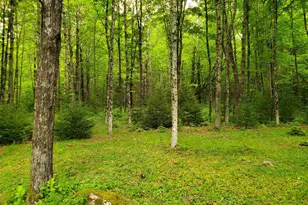 220 New Colony Rd, Orange, NH 03741 - Photo 8