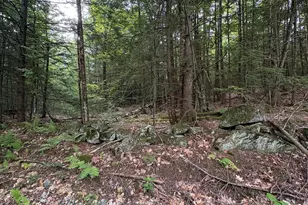 0 Access Rd, Chesterfield, NH 03462 - Photo 1