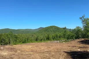 314 Ossipee Mountain Road, Ossipee, NH 03814 - Photo 1