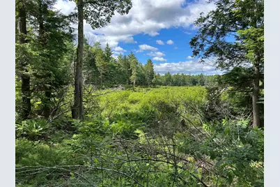 59 Curtis Road, Farmington, NH 03835 - Photo 16