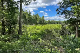 59 Curtis Rd, Farmington, NH 03835 - Photo 16