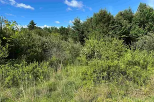 59 Curtis Rd, Farmington, NH 03835 - Photo 8