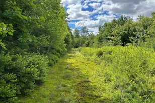 59 Curtis Rd, Farmington, NH 03835 - Photo 18