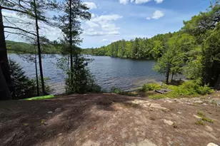 57 Tewksbury Pond Landing, Grafton, NH 03240 - Photo 1