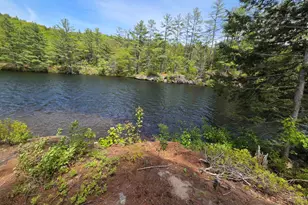 57 Tewksbury Pond Landing, Grafton, NH 03240 - Photo 4