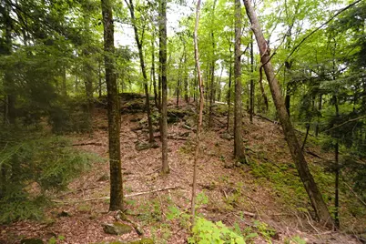 000 Burt Hill Road, Winchester, NH 03455 - Photo 24