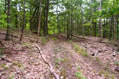 000 Burt Hill Road, Winchester, NH 03455 - Photo 30