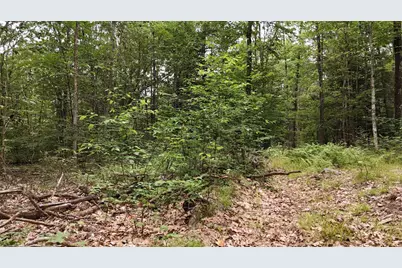 000 Burt Hill Road, Winchester, NH 03455 - Photo 10