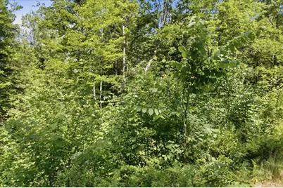 0 Highland Avenue #Map 85, Lots 125 &amp; 126, Map 86, Lots 4 &amp; 5, Littleton, NH 03561 - Photo 24