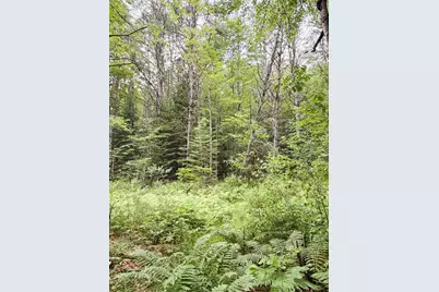 0 Old Partridge Lake Road, Littleton, NH 03561 - Photo 16