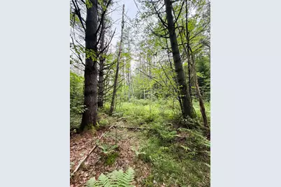 0 Old Partridge Lake Road, Littleton, NH 03561 - Photo 12