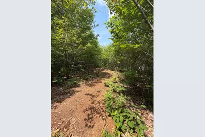 Map 206 Lot 28 Whittier Road, Tamworth, NH 03890 - Photo 1