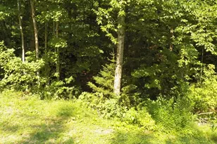 116 Beaver Lake Dr, Stoddard, NH 03464 - Photo 46