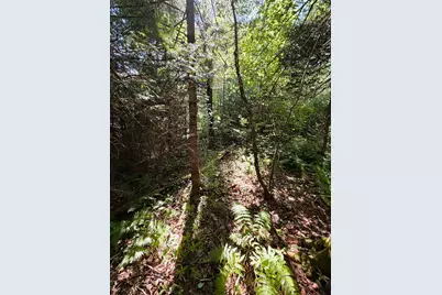 0 Parker Road, Whitefield, NH 03598 - Photo 6
