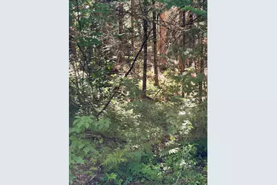 0 Parker Road, Whitefield, NH 03598 - Photo 8
