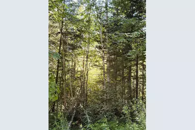 0 Parker Road, Whitefield, NH 03598 - Photo 10