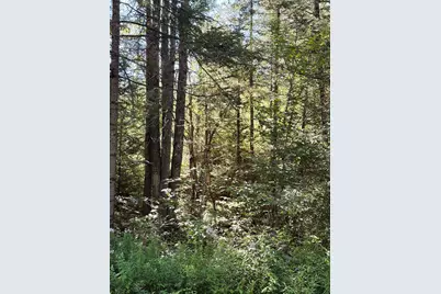 0 Parker Road, Whitefield, NH 03598 - Photo 4