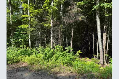 0 North Groton Road, Groton, NH 03241 - Photo 4