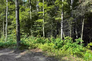 0 N Groton Rd, Groton, NH 03241 - Photo 1