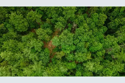 Lot 0 Pine Road, New Ipswich, NH 03071 - Photo 8