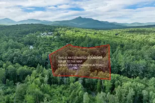 1195 Chocorua Rd, Tamworth, NH 03886 - Photo 4