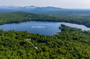 48 Adelboden Way, Madison, NH 03849 - Photo 1
