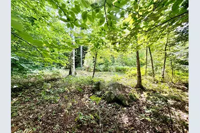 Lee Brook Road, Thornton, NH 03223 - Photo 2