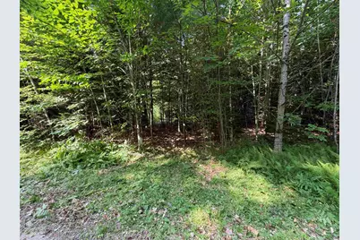 Lee Brook Road, Thornton, NH 03223 - Photo 8