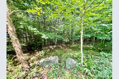 Lee Brook Road, Thornton, NH 03223 - Photo 4