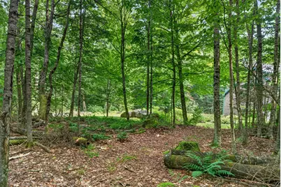 110 Toad Hill Road, Franconia, NH 03580 - Photo 56