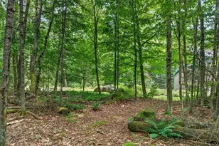 110 Toad Hill Rd, Franconia, NH 03580 - Photo 56