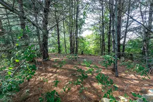 15 Tates Brook Rd, Somersworth, NH 03878 - Photo 44