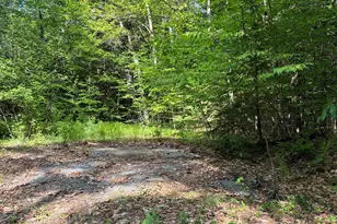 224 Forest Rd, Hancock, NH 03449 - Photo 14