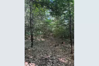 60 Pound Road, Sanbornton, NH 03269 - Photo 2