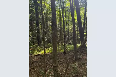 60 Pound Road, Sanbornton, NH 03269 - Photo 8
