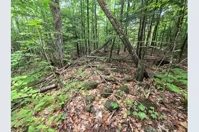 Lot 11 Brownfield Road, Conway, NH 03813 - Photo 12