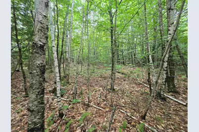 Lot 11 Brownfield Road, Conway, NH 03813 - Photo 10