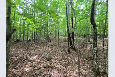Lot 11 Brownfield Road, Conway, NH 03813 - Photo 14