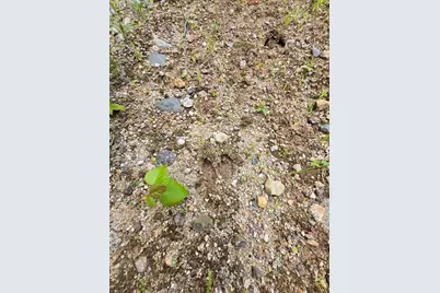 Lot 11 Brownfield Road, Conway, NH 03813 - Photo 6