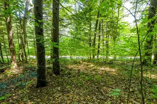 148 Summit View Dr, Tamworth, NH 03886 - Photo 44