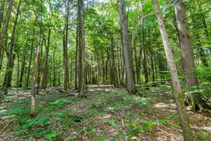 148 Summit View Dr, Tamworth, NH 03886 - Photo 46