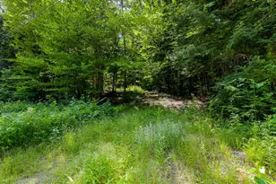 148 Summit View Dr, Tamworth, NH 03886 - Photo 50