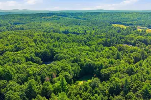 21 Stoney Brook Rd, Bow, NH 03304 - Photo 46